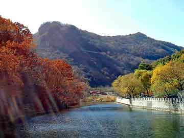 管家婆黑白马报图库，松下冰箱召回型号